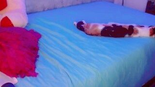 Abril-Iveth nude on webcam in her Live Sex Chat Room