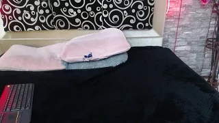 Cloee66 nude strip on webcam for live porn chat