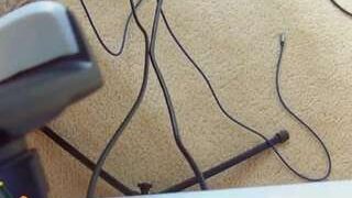 Primallust69 nude on cam in her Live Sex Chat Room
