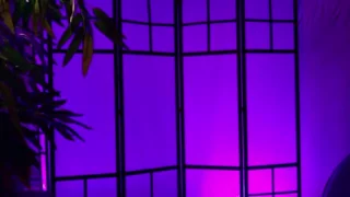 MJay_ nude strip on webcam for live porn chat