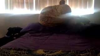 sunshinedaydreamz nude on cam in her Live Sex Chat Room